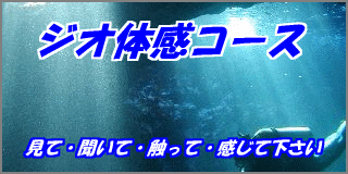 �W�I�̊��^�C�g��