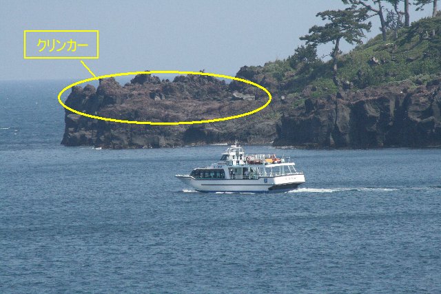 �W�I�c�A�[