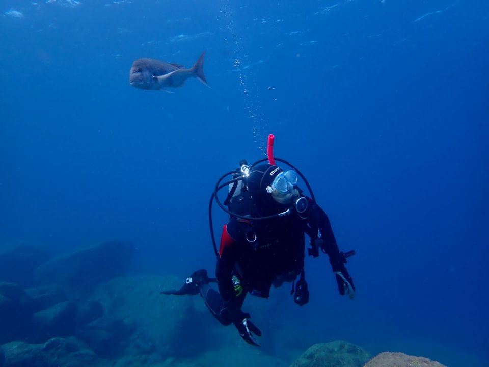 �v���C�x�[�g�_�C�r���O�@�V�j�A�_�C�u