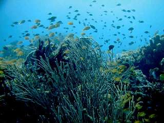 �����������`