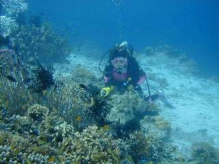 �撣��܂���