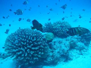 �T���S�Ə���