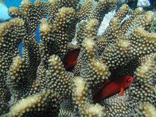 �x�j�S���x