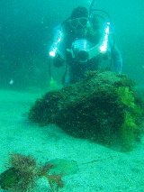 �����ʐ^�@�N���b�N�ő傫���Ȃ�܂�