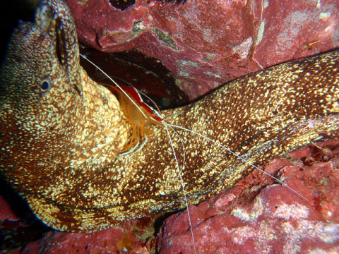 �ɓ������ʐ^�@�N���b�N�ő傫���Ȃ�܂�