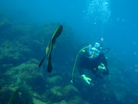 �ɓ������ʐ^�@�N���b�N�ő傫���Ȃ�܂�