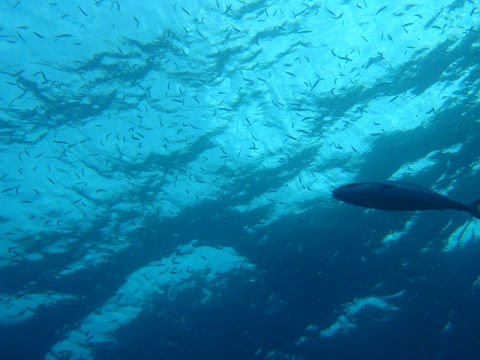 �ɓ������ʐ^�@�N���b�N�ő傫���Ȃ�܂�