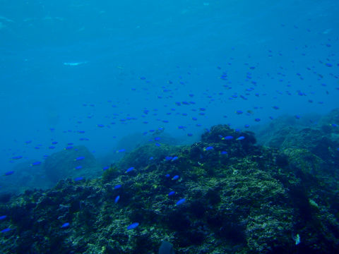 �ɓ������ʐ^�@�N���b�N�ő傫���Ȃ�܂�