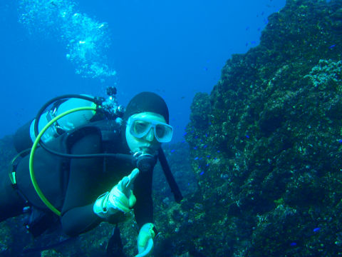 �ɓ������ʐ^�@�N���b�N�ő傫���Ȃ�܂�