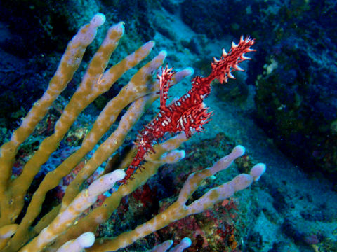 �ɓ������ʐ^�@�N���b�N�ő傫���Ȃ�܂�