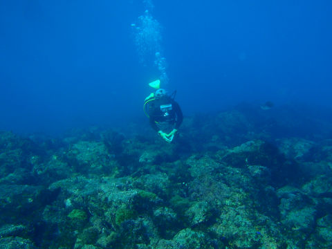 �ɓ������ʐ^�@�N���b�N�ő傫���Ȃ�܂�