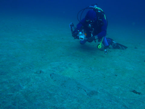 �ɓ������ʐ^�@�N���b�N�ő傫���Ȃ�܂�