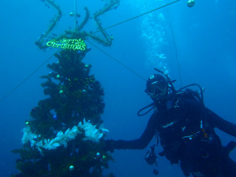 �ɓ������ʐ^�@�N���b�N�ő傫���Ȃ�܂�