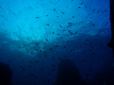 �ɓ������ʐ^�@�N���b�N�ő傫���Ȃ�܂�