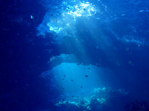 �ɓ������ʐ^�@�N���b�N�ő傫���Ȃ�܂�