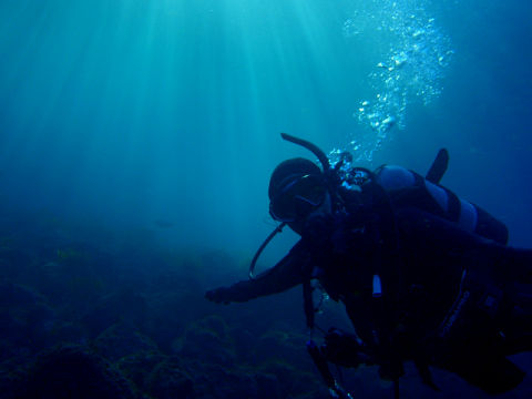 �ɓ������ʐ^�@�N���b�N�ő傫���Ȃ�܂�