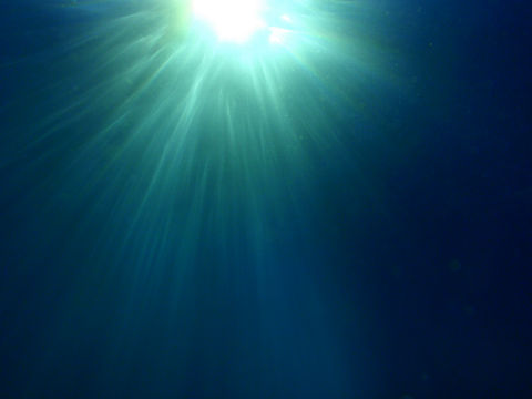 �ɓ������ʐ^�@�N���b�N�ő傫���Ȃ�܂�