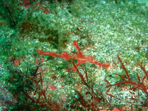 �ɓ������ʐ^�@�N���b�N�ő傫���Ȃ�܂�