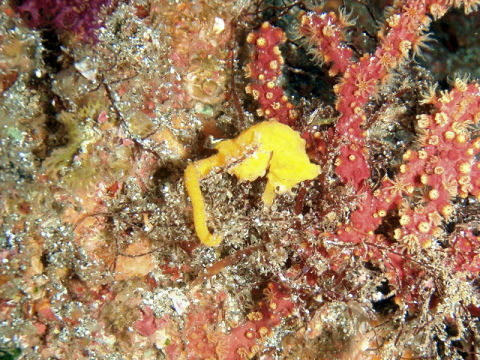 �ɓ������ʐ^�@�N���b�N�ő傫���Ȃ�܂�