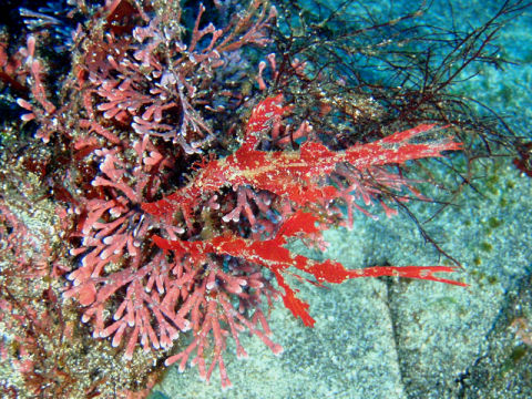 �ɓ������ʐ^�@�N���b�N�ő傫���Ȃ�܂�