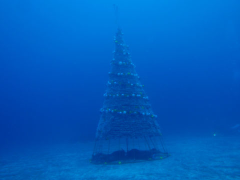 �ɓ������ʐ^�@�N���b�N�ő傫���Ȃ�܂�