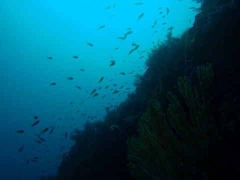 �ɓ������ʐ^�@�N���b�N�ő傫���Ȃ�܂�