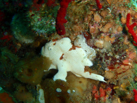 �ɓ������ʐ^�@�N���b�N�ő傫���Ȃ�܂�