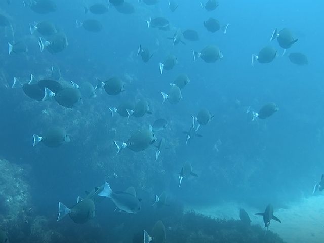 �ɓ������ʐ^�@