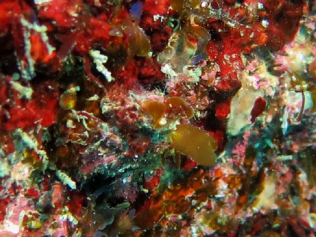 �ɓ������ʐ^�@