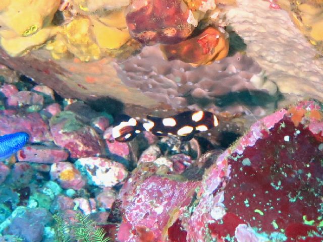 �ɓ������ʐ^�@