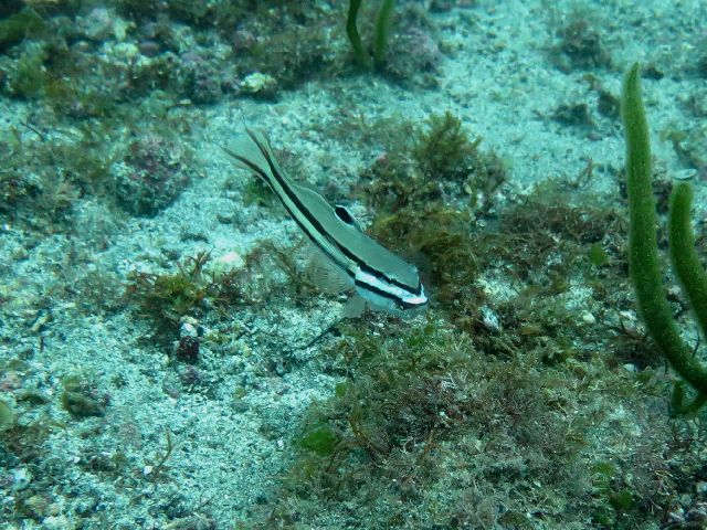 �ɓ������ʐ^