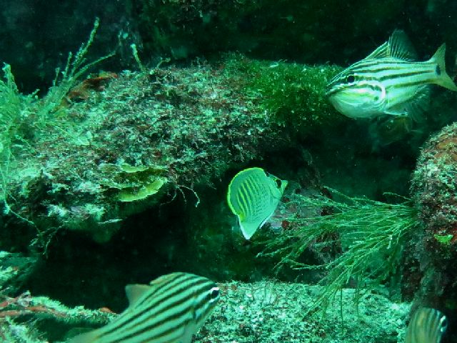 �ɓ������ʐ^