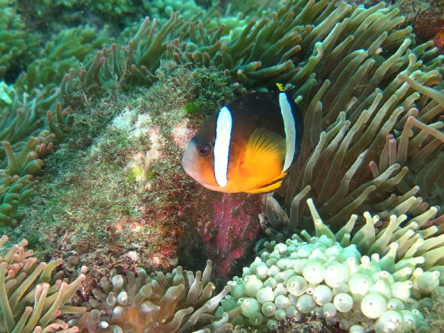 �ɓ������ʐ^