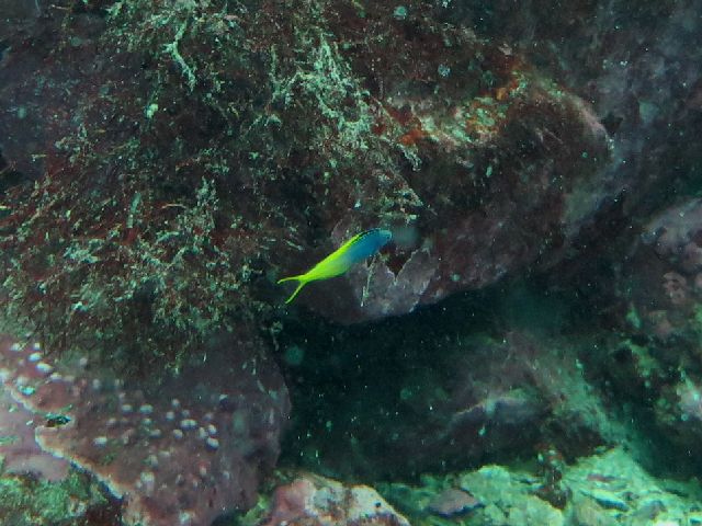 �ɓ������ʐ^