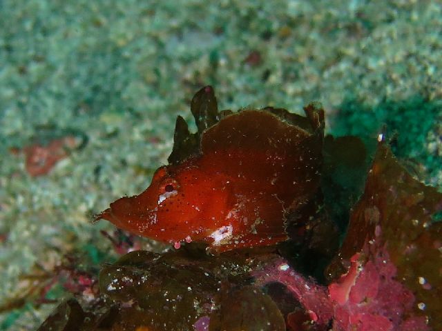 �ɓ������ʐ^