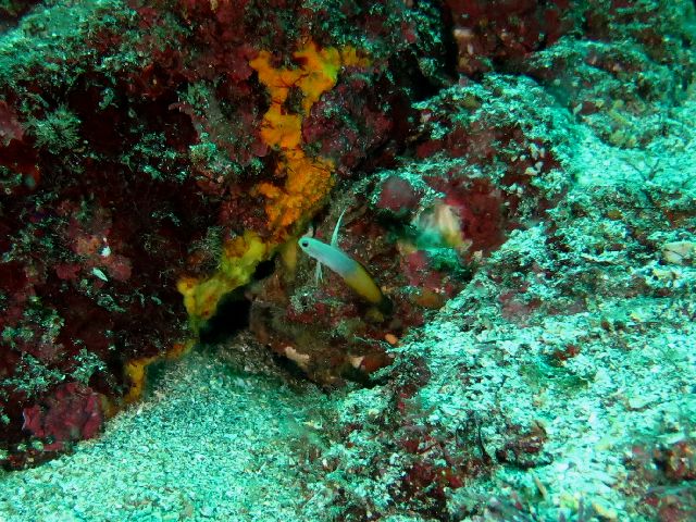 �ɓ������ʐ^