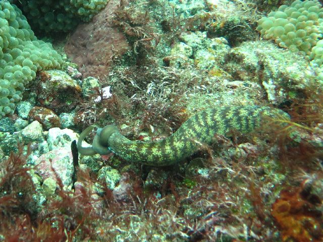 �ɓ������ʐ^