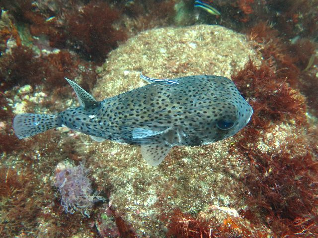 �ɓ������ʐ^