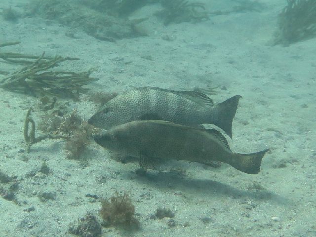 �ɓ������ʐ^