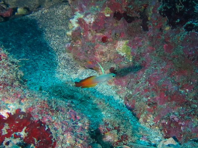 �ɓ������ʐ^