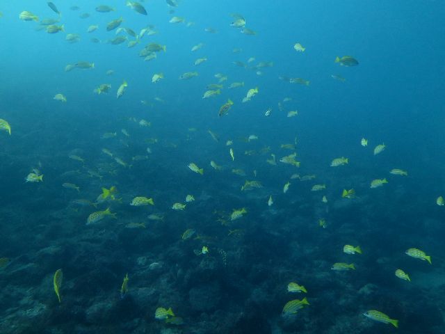 �ɓ������ʐ^