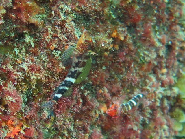 �ɓ������ʐ^