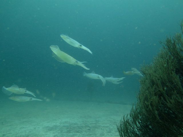 �ɓ������ʐ^