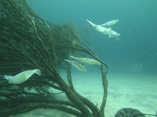 �ɓ������ʐ^