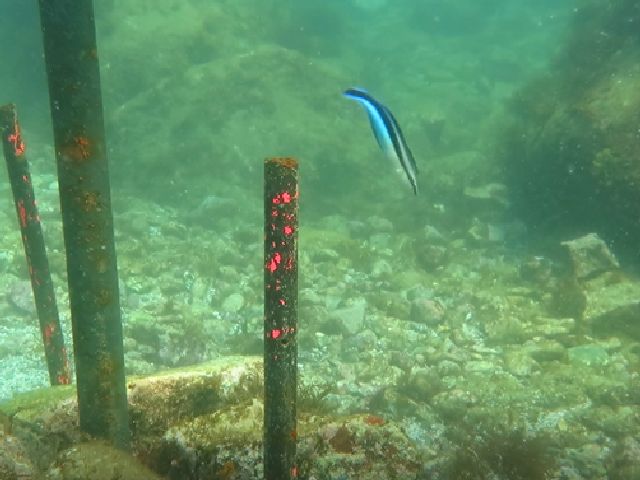 �ɓ������ʐ^