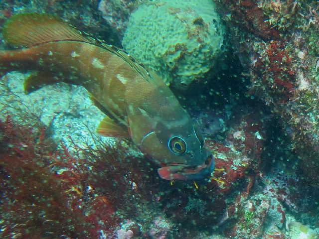 �ɓ������ʐ^