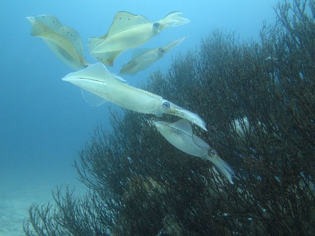 �ɓ������ʐ^