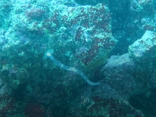 �ɓ������ʐ^