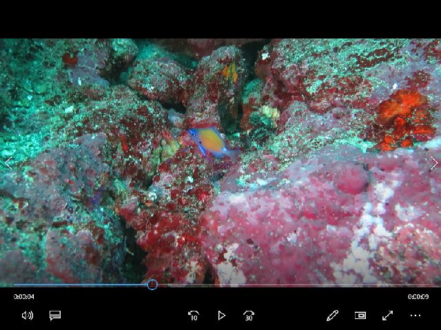 �ɓ������ʐ^