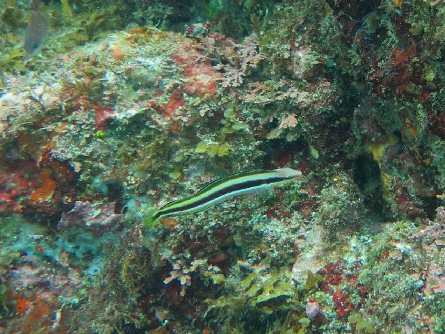 �ɓ������ʐ^